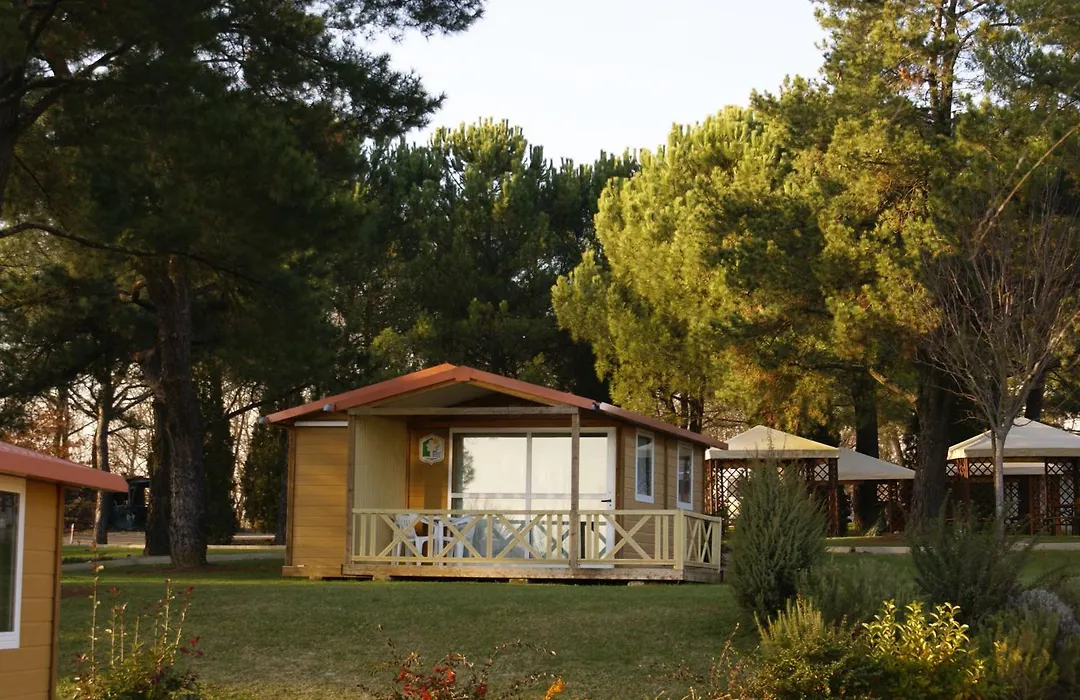 I Girasoli-1